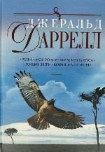 ���������� � ��������