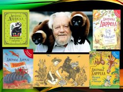 ����� ������������ ����������